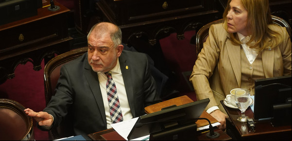 Incendios: el Senado aprobó la emergencia en Córdoba en una sesión con un fuerte exabrupto de Juez