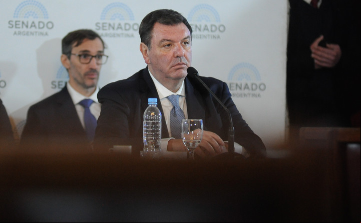 El juez Ariel Lijo, durante su exposición en el Senado. Foto Federico López Claro