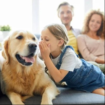 El inédito beneficio de hablarle a tu perro como a un bebé, según la ciencia