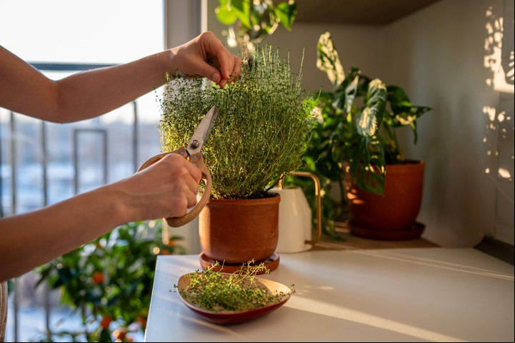 Si tenés un baño arriba de la cocina, incorporá una planta (elemento madera) junto al fogón. Foto: ilustración Shutterstock