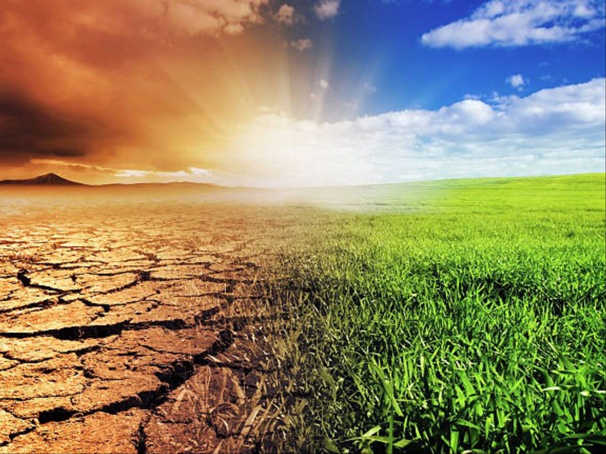 El cambio climático trae consecuencias devastadoras. Foto: iStock.