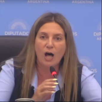 Javier Milei y sus medidas, EN VIVO: pelea a los gritos y corte de micrófono en Diputados por la chicana de una legisladora peronista a otra del PRO