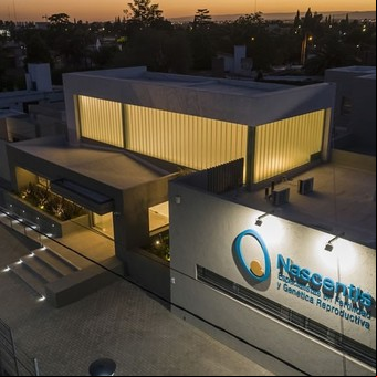 El director de una de las clínicas de fertilidad denunciadas por trata se defiende: "Pueden abortar si quieren"