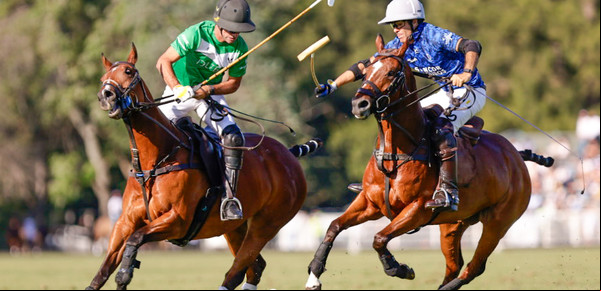 Abierto Argentino de Polo: La Dolfina y La Natividad juegan otra final de 80 goles en Palermo, con ganas de revancha y la lluvia como villano involuntario