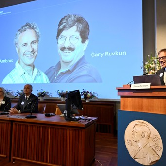 Nobel de Medicina para dos estadounidenses por el descubrimiento de un principio fundamental de la actividad de los genes