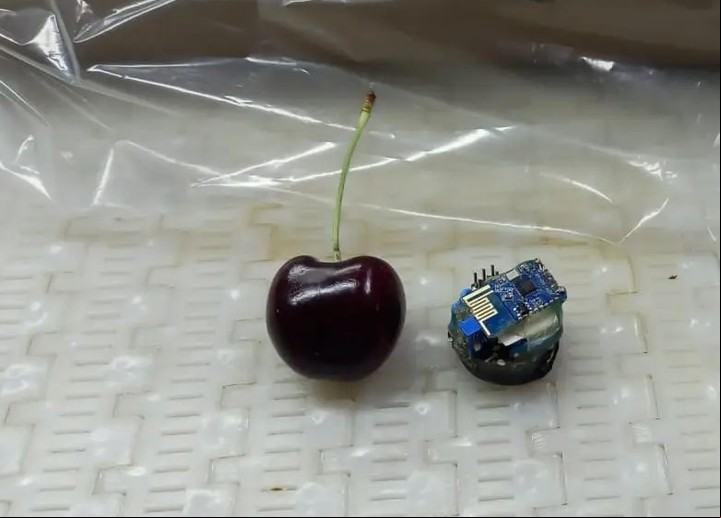 A partir de la implementación de esta tecnología se pudieron hacer mejoras concretas en algunas plantas de empaques.