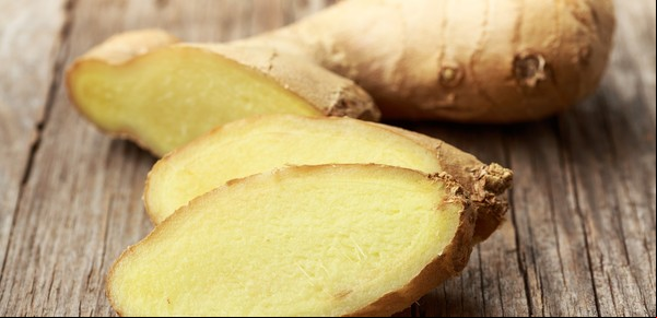 ¿Se puede cultivar jengibre a partir de un trozo de jengibre?