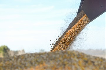 El Gobierno eliminó el RUCA y Sturzenegger avanza en la simplificación istrativa del sector agropecuario