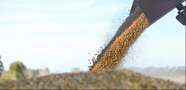 El Gobierno eliminó el RUCA y Sturzenegger avanza en la simplificación istrativa del sector agropecuario