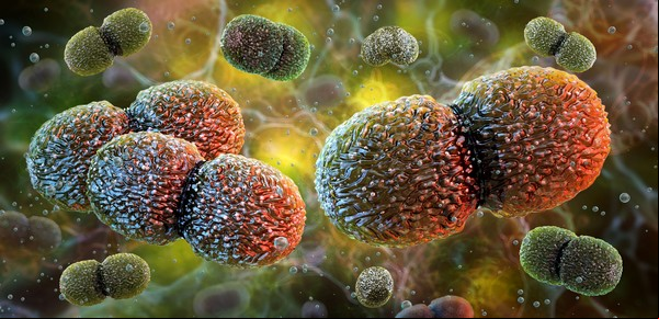 Trillones de microorganismos viven en nosotros: ¿aliados o enemigos de la salud?