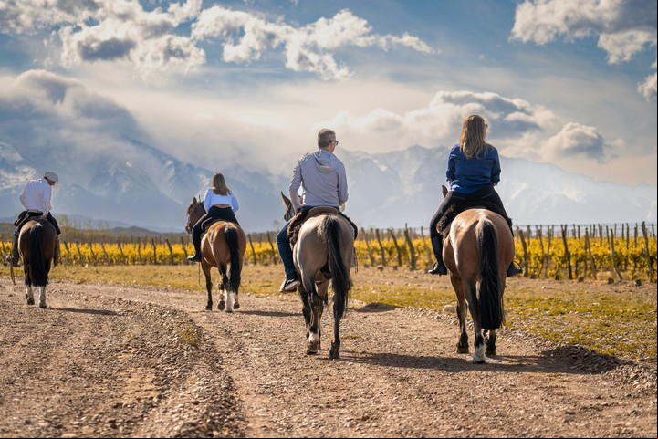 La combinación de montañas, viñedos y actividades al aire libre convierten a Mendoza en el destino perfecto para unas vacaciones inolvidables.
Foto: Pexels.