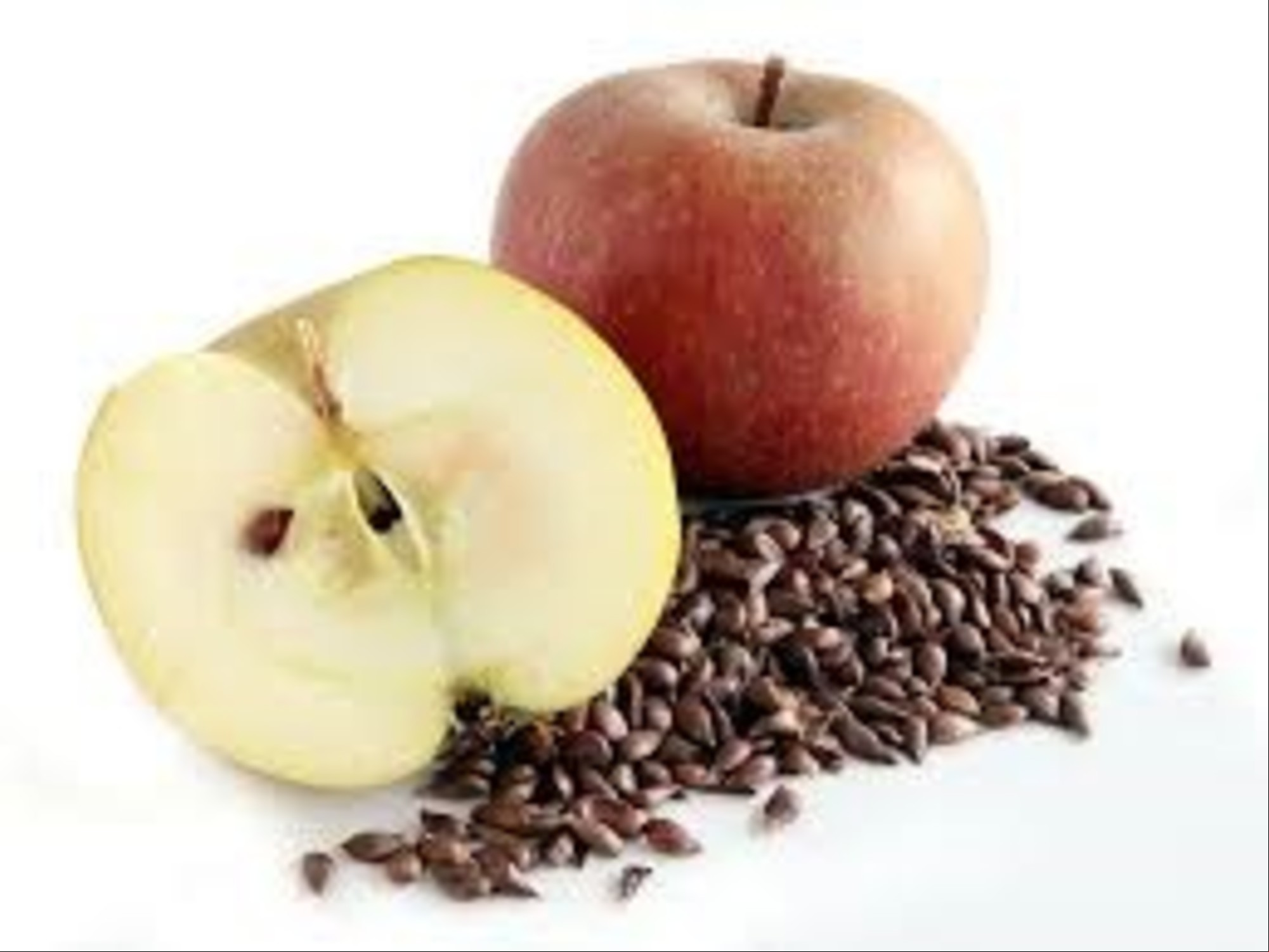 ¿Son realmente tóxicas las pepitas de manzana? Sí: los expertos desaconsejan masticar las semillas de manzana por su cianuro./ Foto: Facebook.
