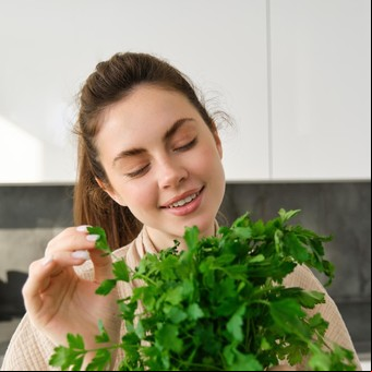 ¿Qué época es la mejor para sembrar cilantro?