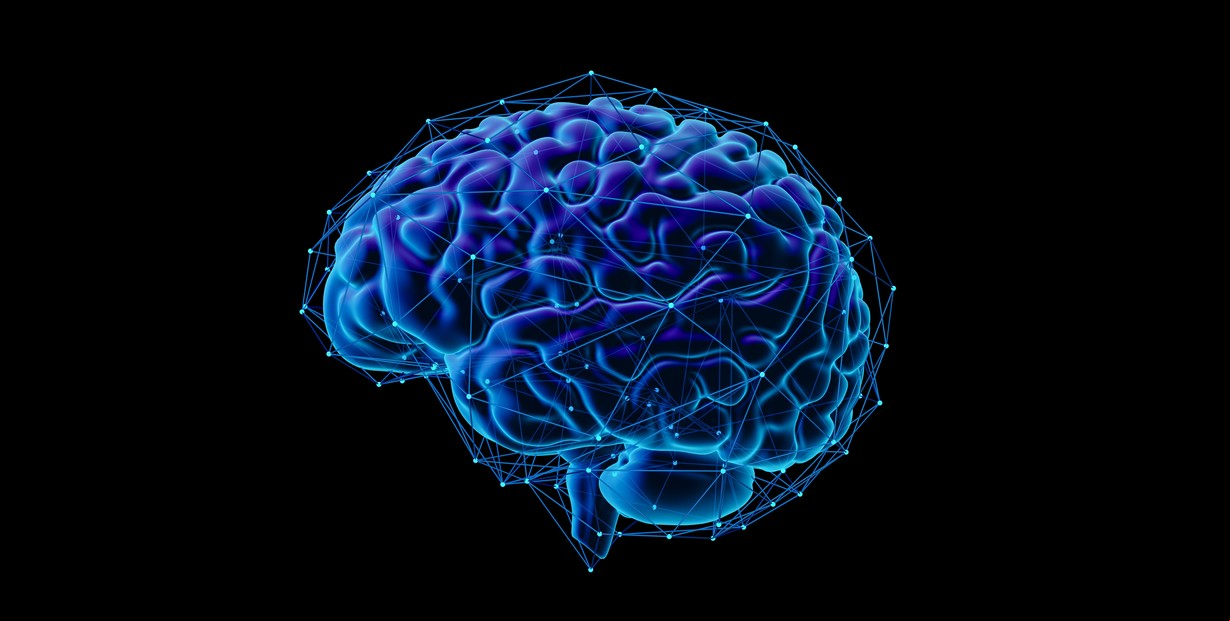 Matthew Cobb: "¡Aristóteles pensaba que el cerebro tenía una función de enfriamiento!"