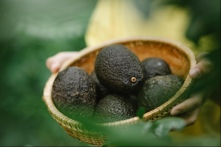 Para qué se puede usar la cáscara de la palta. Foto: Pexels