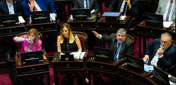 Echaron a Edgardo Kueider del Senado: uno por uno, cómo votó cada senador