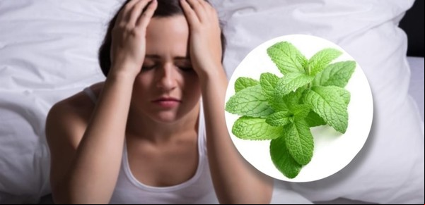 Cómo consumir la menta piperita para bajar la ansiedad y combatir el insomnio