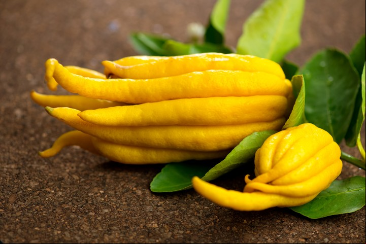 La fruta Mano de Buda pertenece a la familia de los cítricos.