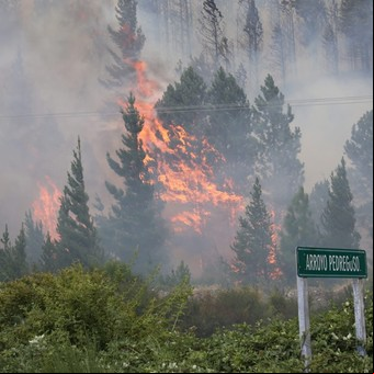 El gobernador de Chubut acusó a los mapuches de la RAM por los incendios y Patricia Bullrich denunció un atentado terrorista