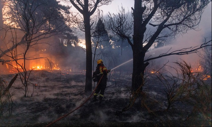 Incendios en la localidad de Epuyen, Chubut. Foto Reuters / Matías Garay