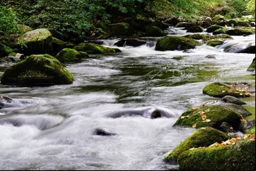 ¿Sabías que un arroyo en Argentina conecta dos océanos?: conocé esta rareza única en el país