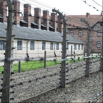 El olvido por décadas de Auschwitz