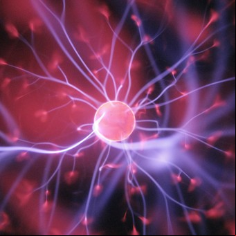 Lo que la ciencia revela sobre tu cerebro cuando mirás una película