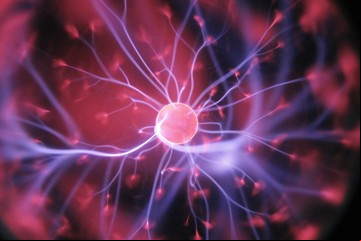 Lo que la ciencia revela sobre tu cerebro cuando mirás una película
