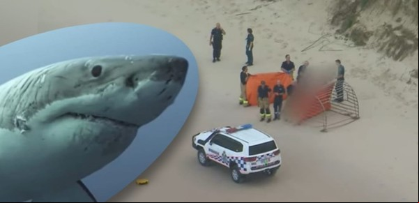 Un tiburón mató a una chica de 17 años que nadaba tranquila en una playa de surf
