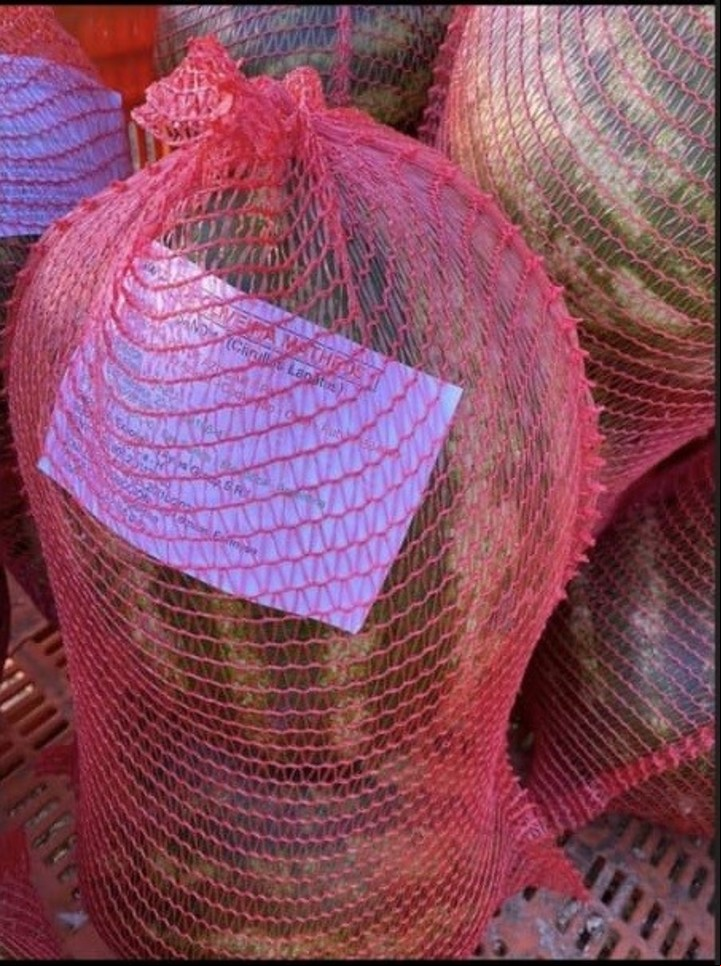Hasta la desregulación la fruta debía exportarse embolsada, un costo adicional que sacaba del mercado a la producción local.
