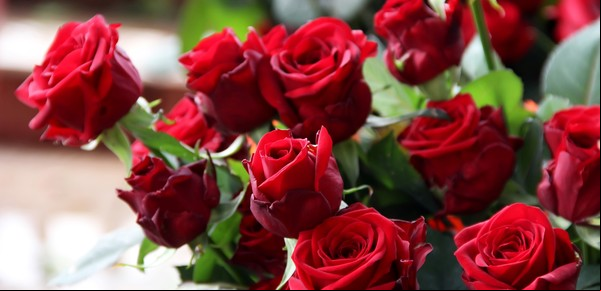 Día de la Mujer: solo una rosa
