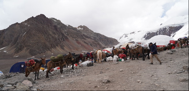 La inesperada polémica que se desató en el cerro Aconcagua