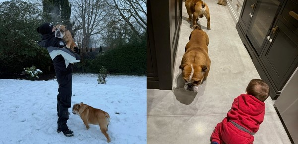 Alejandro Garnacho le dio un regalo inolvidable a la hincha del Manchester United que encontró a sus perros perdidos