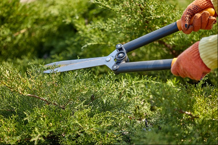 Volvé a usar el pasto que cortaste para darle más vida a tu jardín. Foto: Freepik.