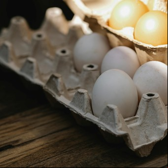 Cómo reciclar los maples de huevos para crear objetos útiles, paso a paso