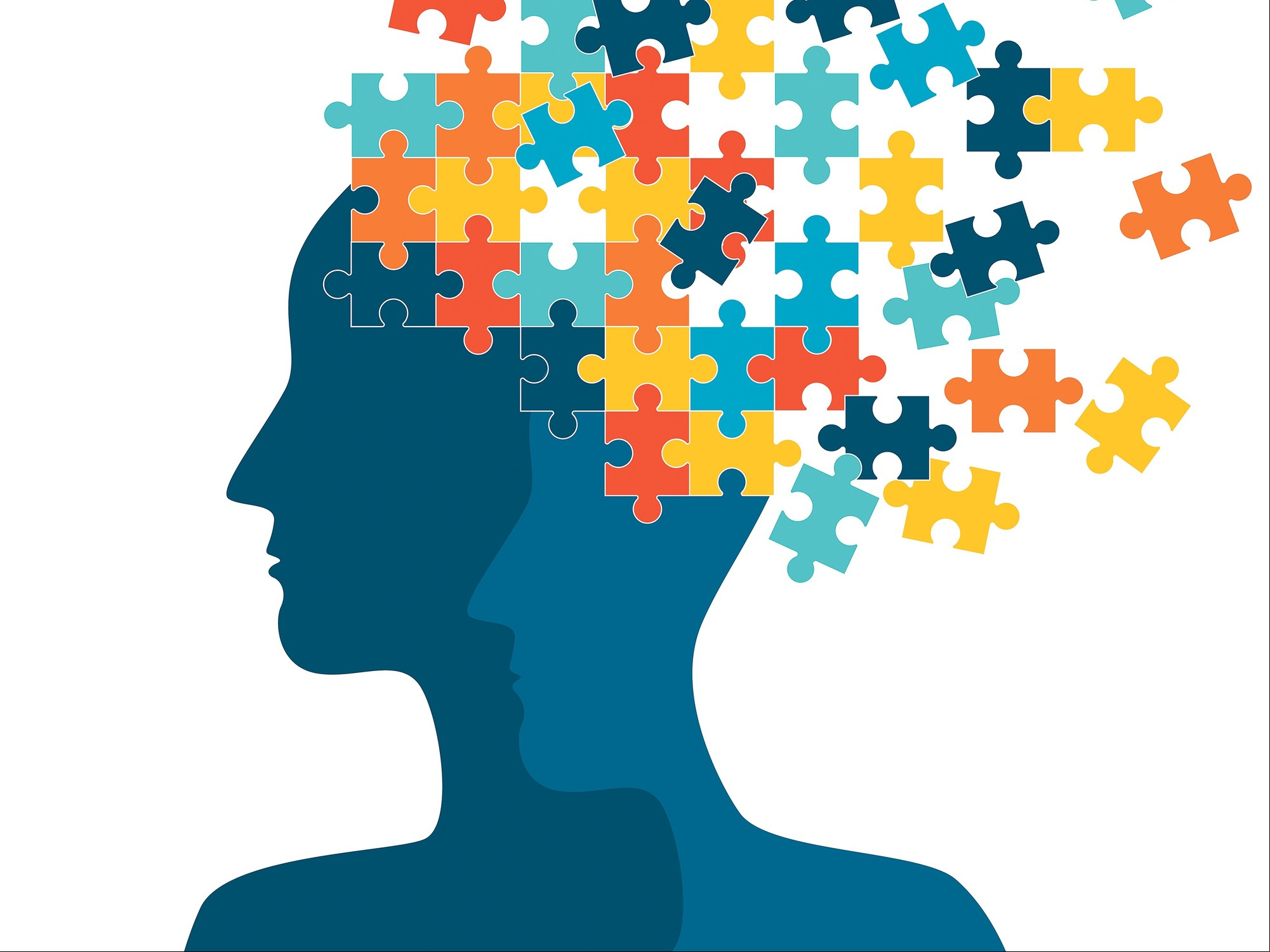 El cerebro y la memoria.