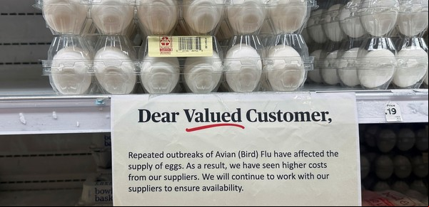 Gripe aviar: Estados Unidos impulsa la importación de huevos tras el vertiginoso aumento de precio