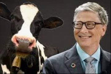 Los Bill Gates de cada día en el debate sobre veganos, ganadería y ambiente