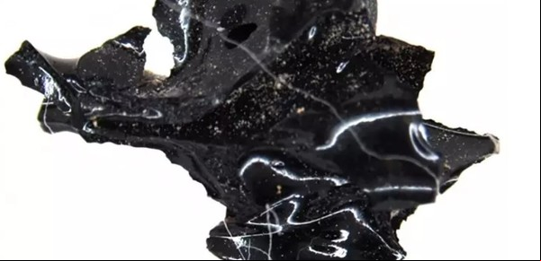 Una nube de cenizas convirtió en vidrio el cerebro de un hombre