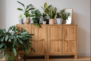 Dale una nueva vida al color de las maderas de tu casa con este truco simple pero efectivo