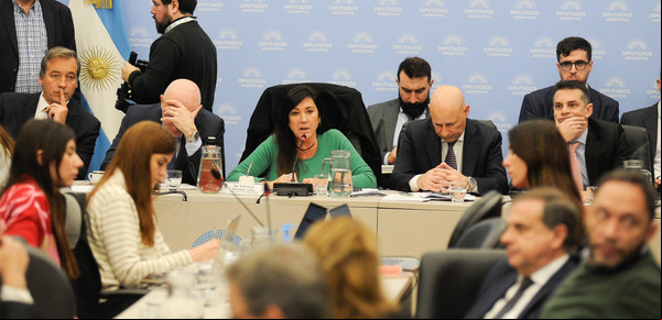 Diputados: frente al avance de la agenda opositora el oficialismo busca un éxito propio con el dictamen de la edad de baja de imputabilidad
