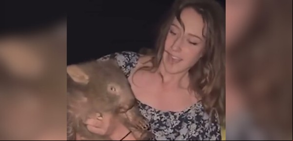 Habló por primera vez la influencer que había sido repudiada por separar a una cría de wómbat de su madre durante un video