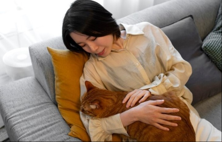 La presencia de su dueño al dormir ayuda a los gatos a regular su nivel de estrés y ansiedad. Foto: Freepik.