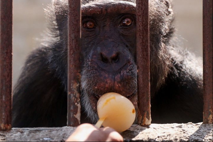 Yoko tomando un helado. Su mirada refleja lo dura que fue su vida (Reuters).