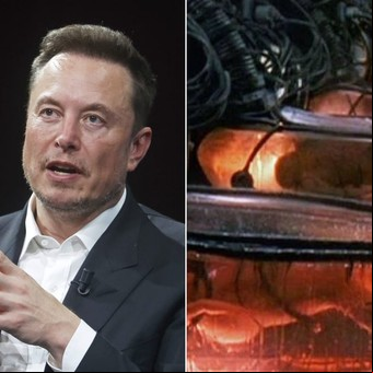 ¿Estamos listos para los bebés del futuro? La apuesta de Elon Musk por úteros artificiales y el nuevo natalismo