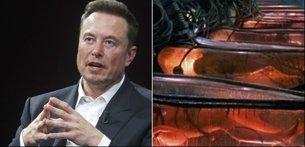 ¿Estamos listos para los bebés del futuro? La apuesta de Elon Musk por úteros artificiales y el nuevo natalismo