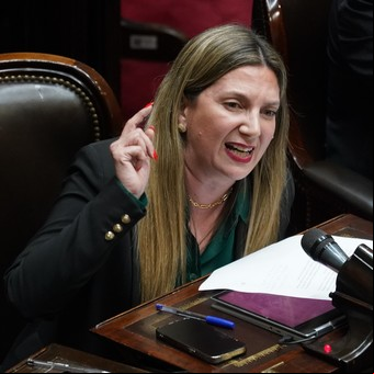 Qué hay detrás de Ficha Limpia y por qué puede afectar a Cristina, Milei y Macri