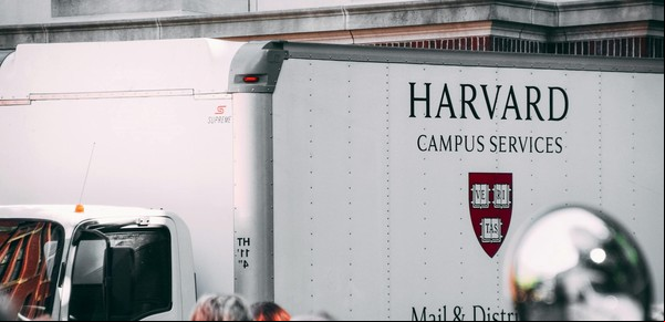 Cómo acceder a más de un millón de libros en línea gracias a Harvard y Google: así podés hacerlo