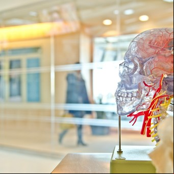 12 preguntas para mejorar la salud del cerebro según especialistas 