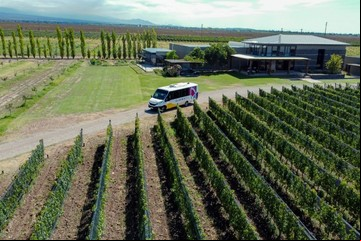 Cómo es el Wine Bus, una opción express y low cost para recorrer las bodegas de Mendoza